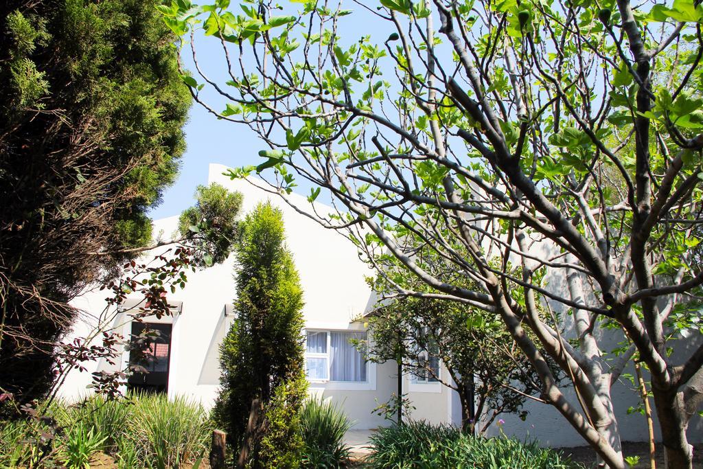 La Coscello Guest House Edenvale Esterno foto